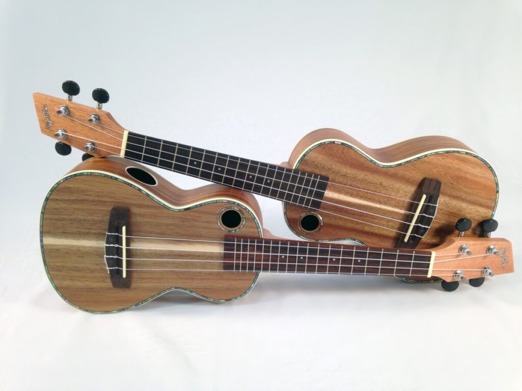 Elektrisk Ukulele | en ukulele | Hvilken skal du vælge?